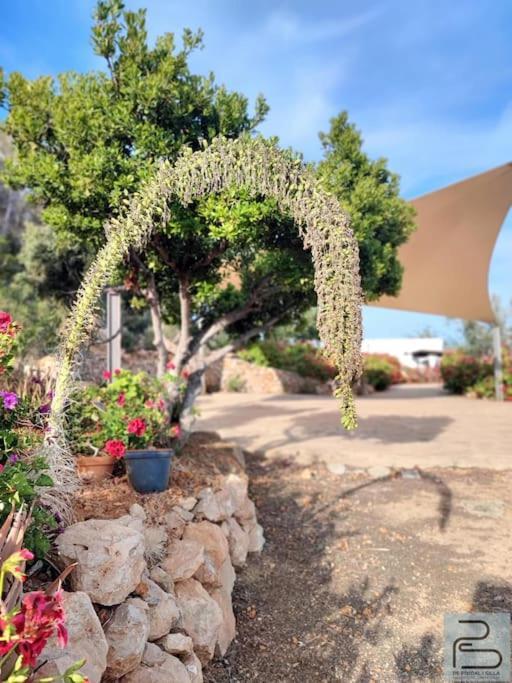 Casa Can Lluc Con Piscina, Jardin Y Vista Al Campo Sant Miquel de Balansat Eksteriør bilde