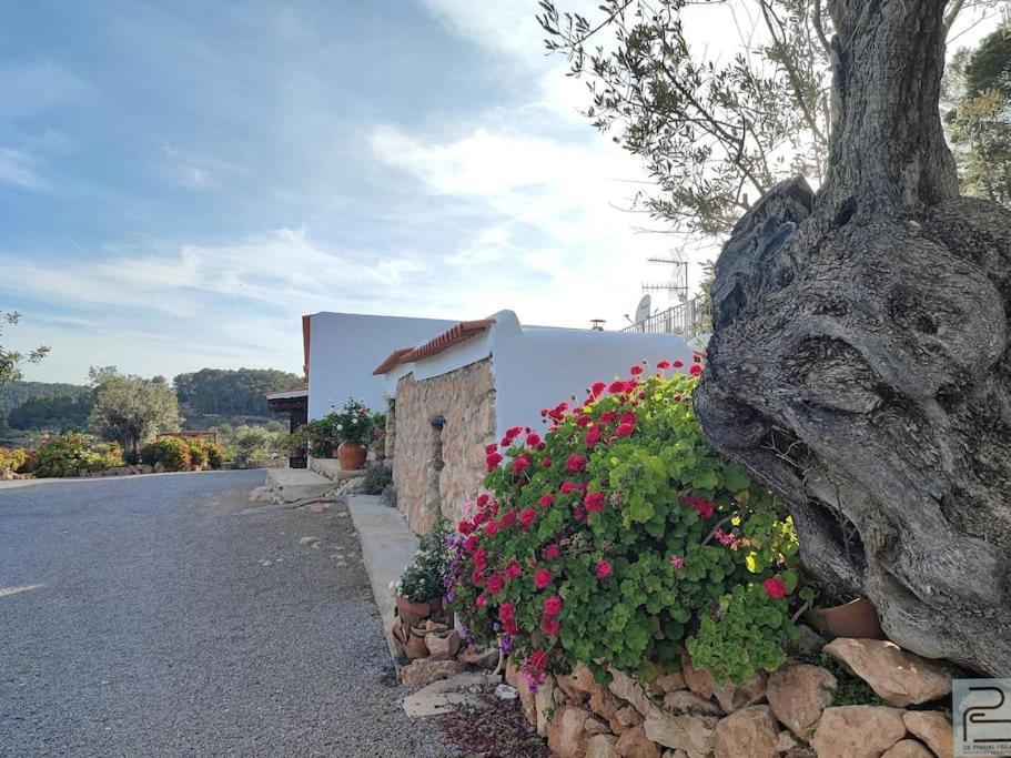 Casa Can Lluc Con Piscina, Jardin Y Vista Al Campo Sant Miquel de Balansat Eksteriør bilde